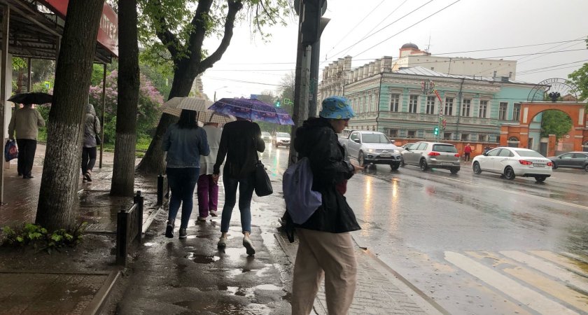 Жару, резкое снижение температур и непогоду пообещали синоптики в Ярославле