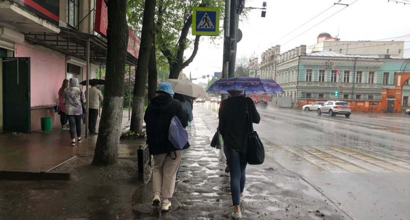 "В сентябре будет настоящий кошмар": синоптики рассказали ярославцам, чего ожидать осенью