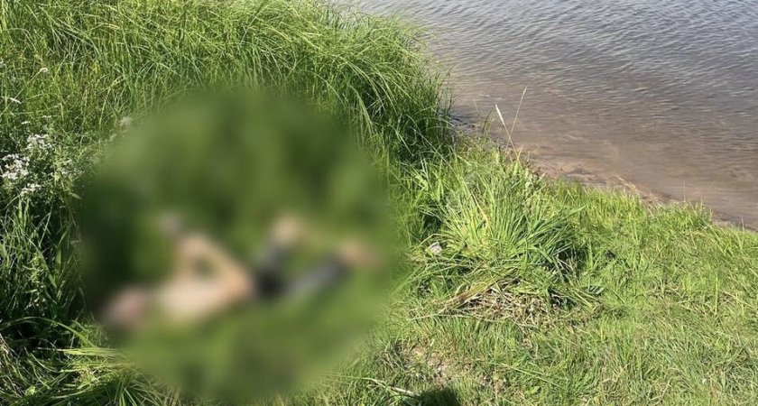 «Мама ходила по берегу и кричала»: под Ярославлем в реке утонул ребенок