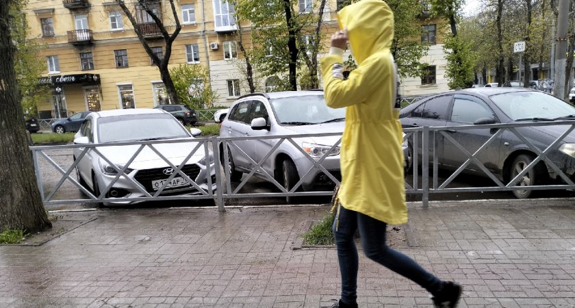 "Будет сильная гроза": МЧС предупредили ярославцев о серьезной непогоде