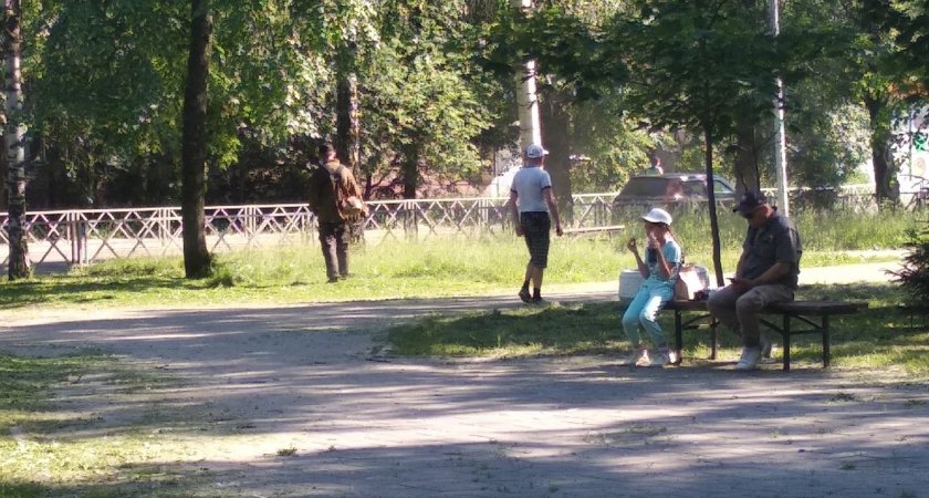 "Экологическая катастрофа": в Ярославле жителей деревень изводят полчища мух