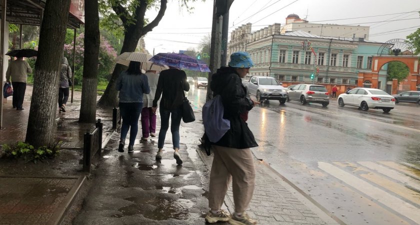 Промозглые дожди и резкое похолодание ждут ярославцев в начале сентября