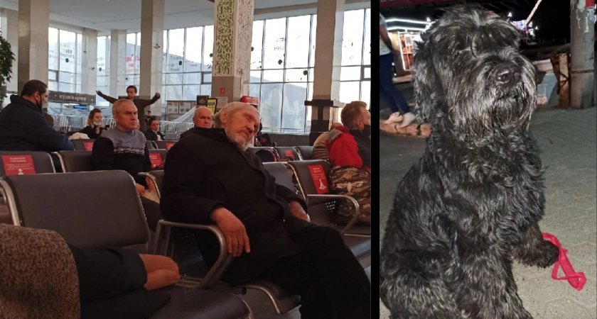  Привязали к перилам: пассажиры вокзала выбросили собак из-за отсутствия намордников
