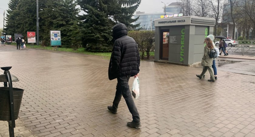 Холод жуткий: назвали дату прихода осенних заморозков в Ярославль 