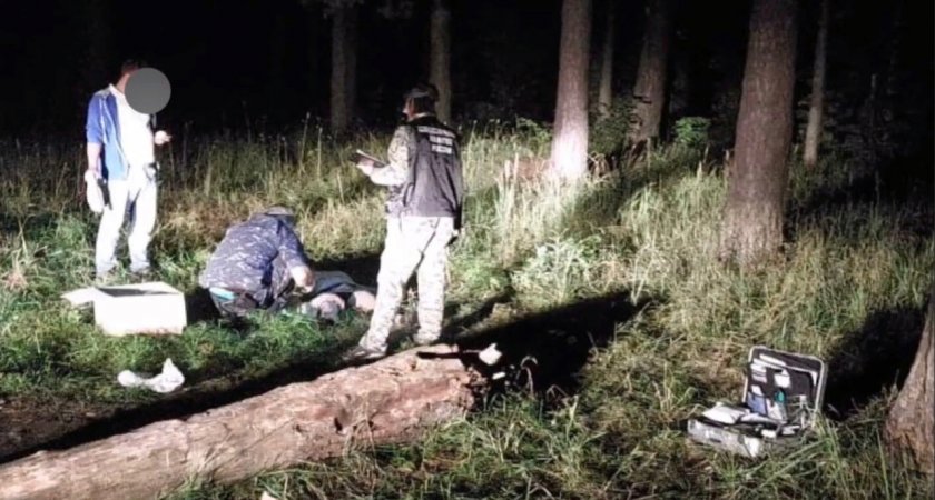 Жестокое убийство произошло в лесу Ярославля