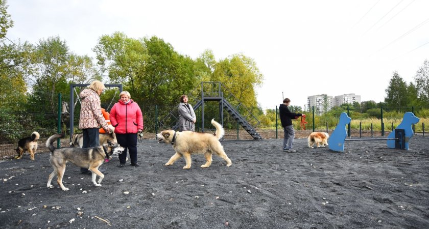   В Брагино открыли две площадки для выгула собак