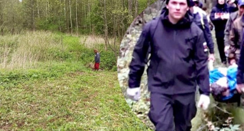 "Вынесли на носилках": в Ярославской области пожилую женщину нашли обессиленной в лесу