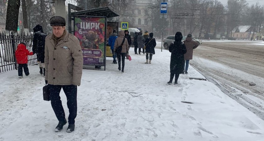 "Сумасшедшую" погоду на ноябрь и декабрь спрогнозировали в Ярославле синоптики