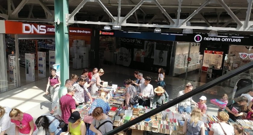 Ярославцы продают книги, чтоб спасти жизнь кошкам