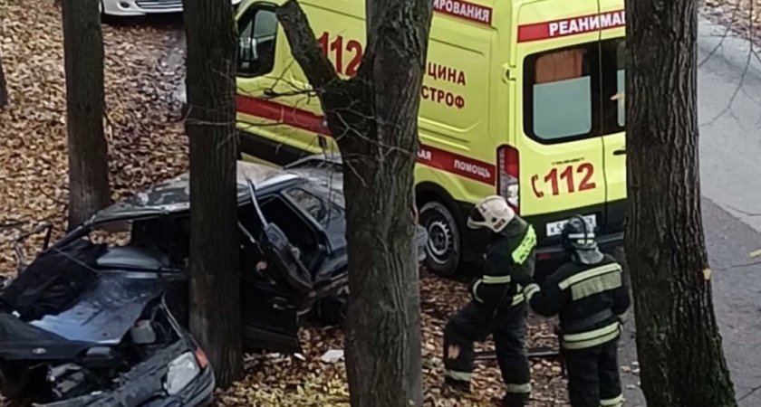 "Водитель в больнице": в Ярославле легковушка на всей скорости влетела в дерево