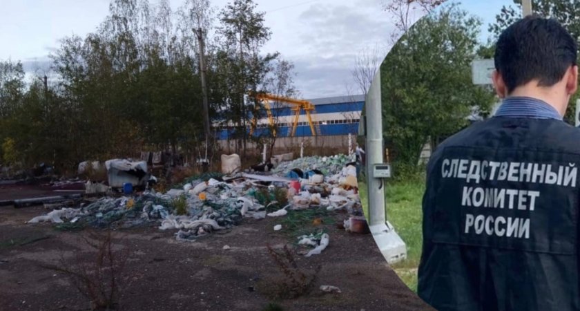 В Ярославской области разыскивают устроивших опасную химическую свалку преступников 