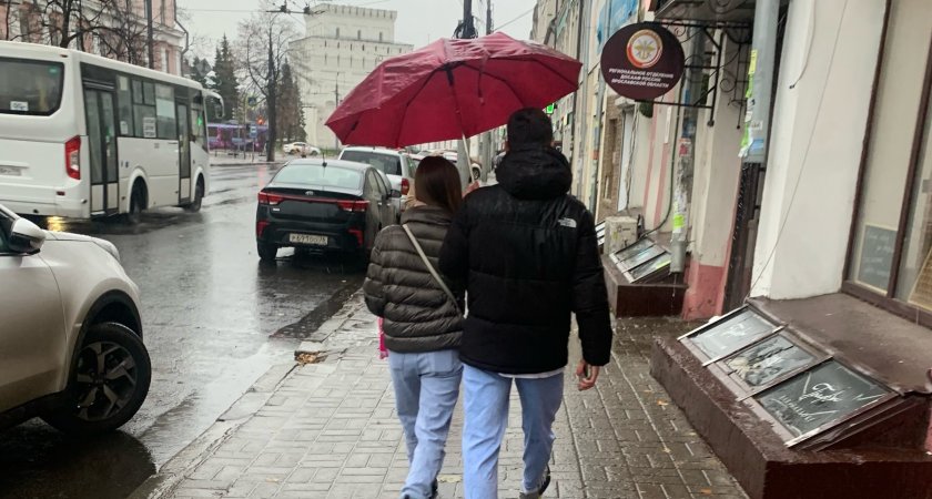 Дожди, заморозки и первый снег обрушатся на Ярославль на следующей неделе