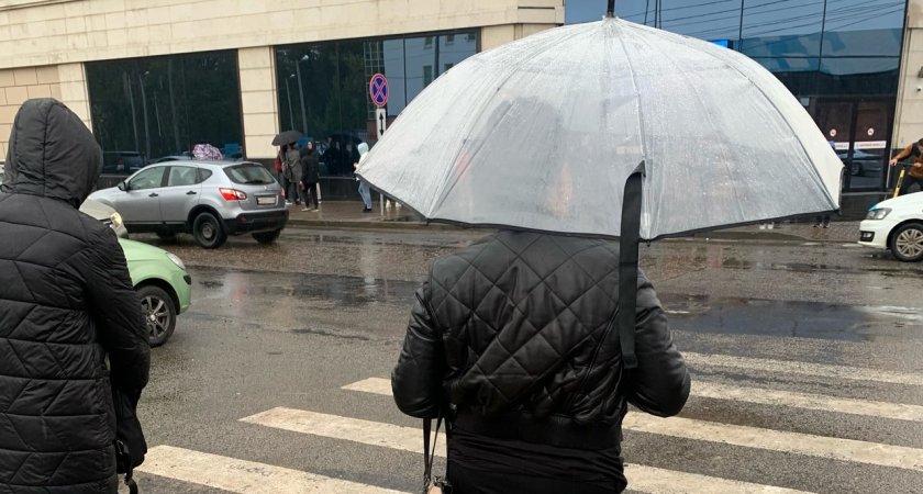 Ливни и ночные заморозки вот-вот накроют Ярославль 