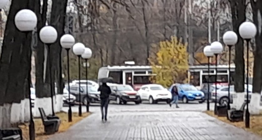 Аномальное для осени тепло уходит из Ярославля