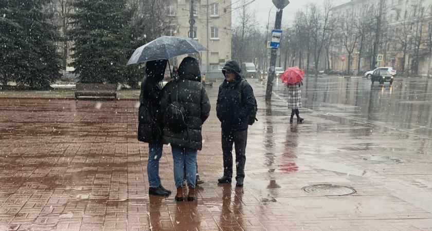 Мокрый снег и опасный гололед обрушатся на Ярославскую область