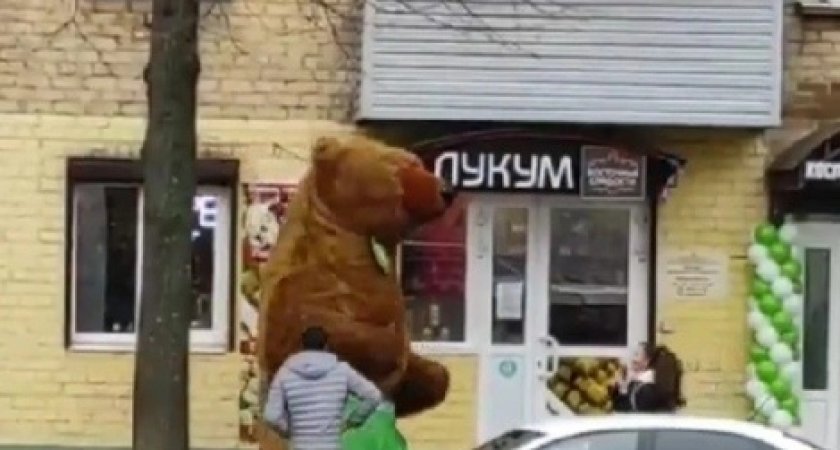 "Белый филонит": ярославцы разыскивают медведей, устроивших уличное представление