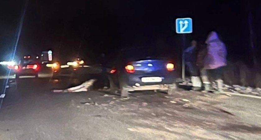 "Сколько жизней там осталось": ярославцы требуют оградить опасную дорогу от лосей