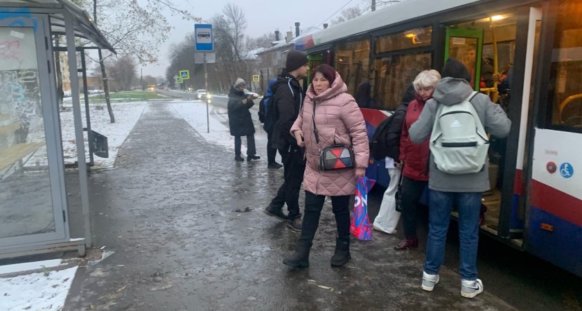 Пять маршрутов общественного транспорта отменят в Ярославле 
