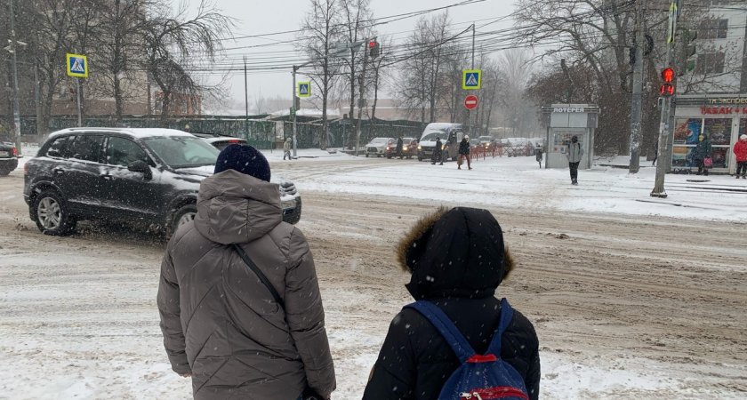 Самый морозный и снежный день на этой неделе в Ярославле назвали синоптики