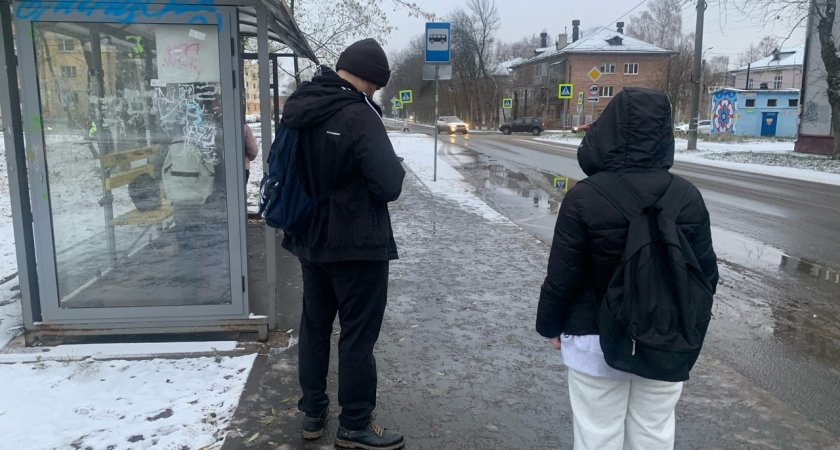 Сугробы наметет за ночь: на Ярославль обрушится сильный снегопад