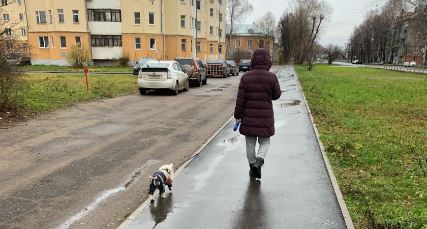    По миру пойдет: астрологи рассказали, какой знак зодиака разорится в декабре