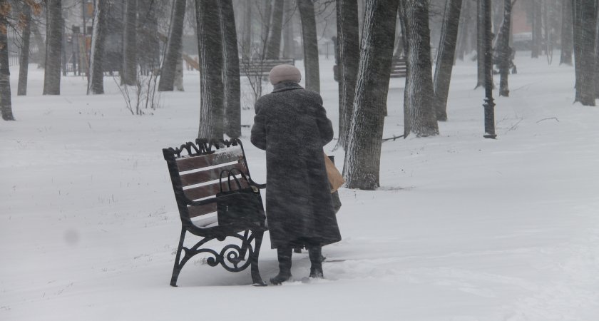  20-сантиметровые сугробы и лютые морозы пообещали в Ярославле к выходным