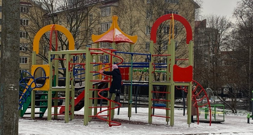 Политики призвали ярославцев отказаться от детских площадок