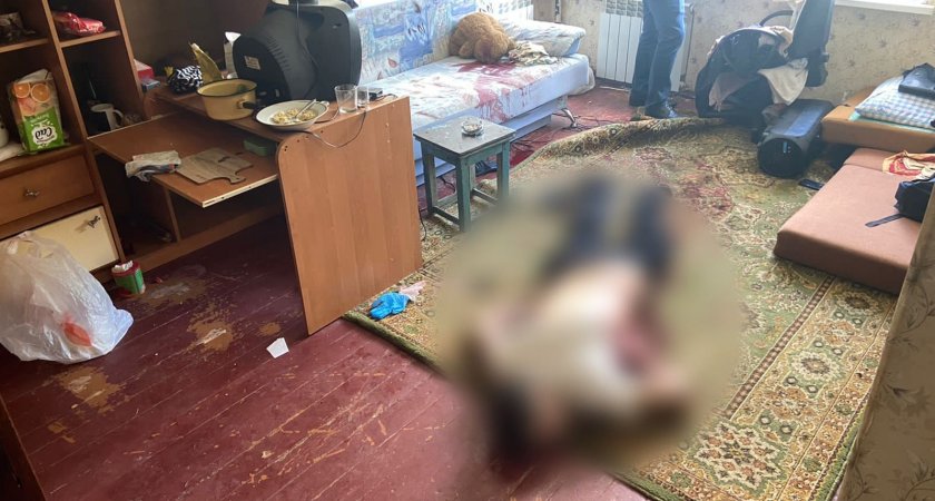 В Ярославле мужчину убили из-за его собаки