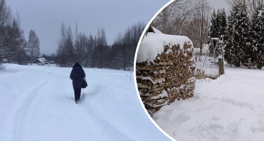 "Им теперь замерзать": жители деревень под Ярославлем остались без дров из-за бизнесменов