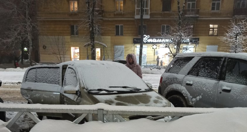  За сутки в Ярославле выпадет половина месячной нормы снега