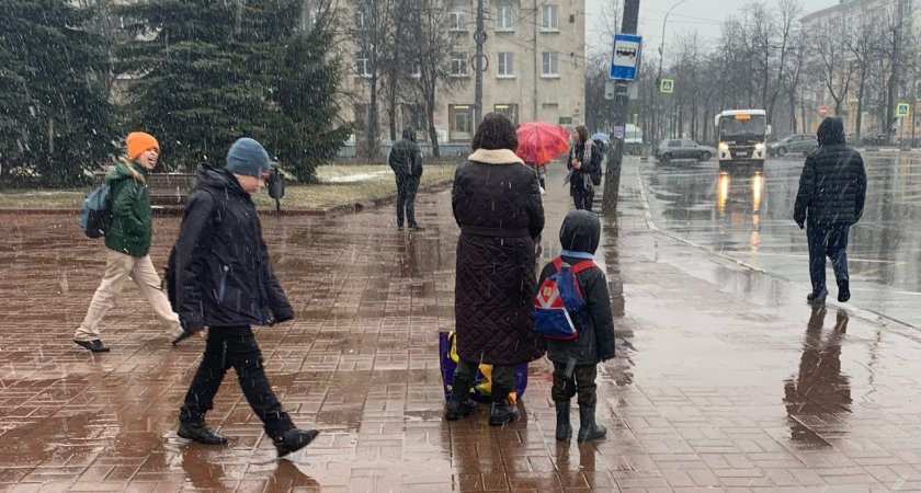 Дожди и плюсовая температура вернутся в Ярославль на этой неделе