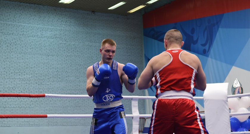 Ярославцы забрали 27 золотых медалей на турнире по боксу