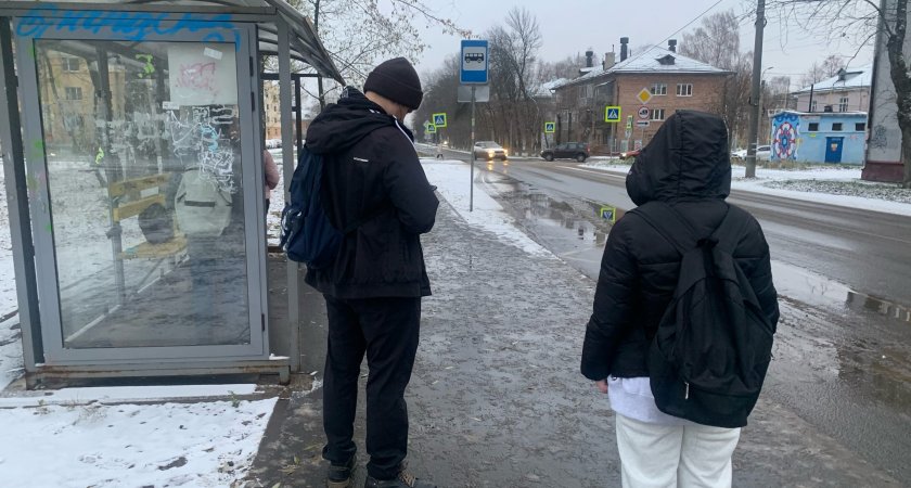 После метелей и морозов в Ярославль вернутся дожди и оттепель