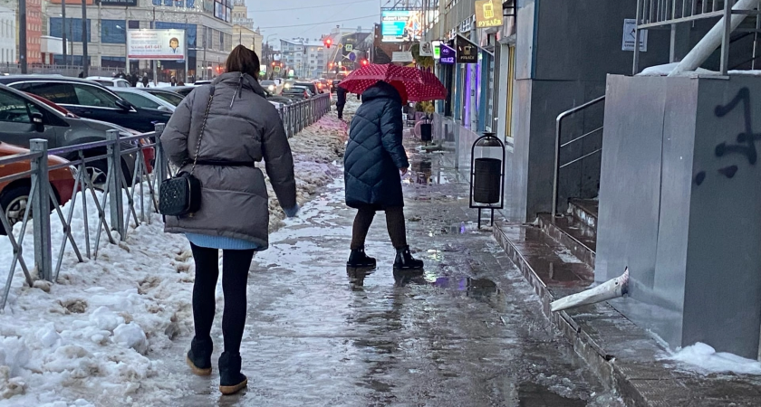 На смену снегопадам в Ярославль придут ледяные дожди