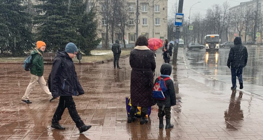 После снегопадов в Ярославль вернутся дожди и плюсовая температура
