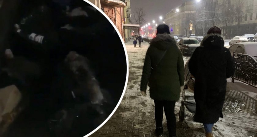 "Едим с открытым окном": ярославцы задыхаются от зловонных запахов из канализации