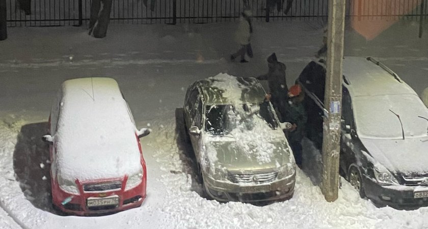 В Ярославле в МЧС предупредили о снегопаде и скачке температур