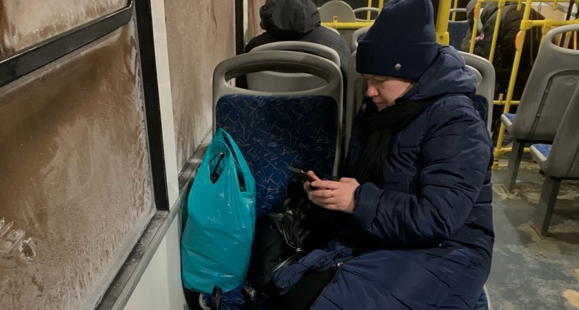 Оттепель в Ярославле сменится 20-градусными морозами