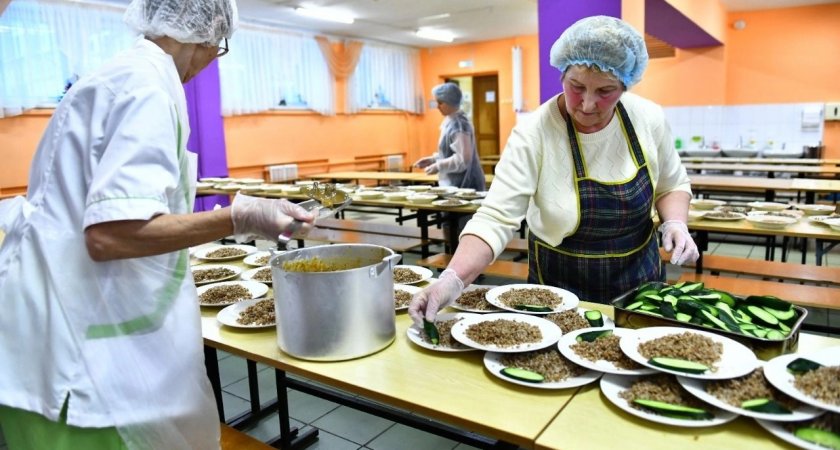 Общественники просят мэра Ярославля разобраться с конкурсами на поставку питания