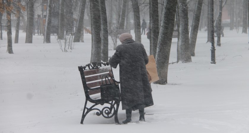 В Ярославль возвращаются 20-градусные морозы и метели