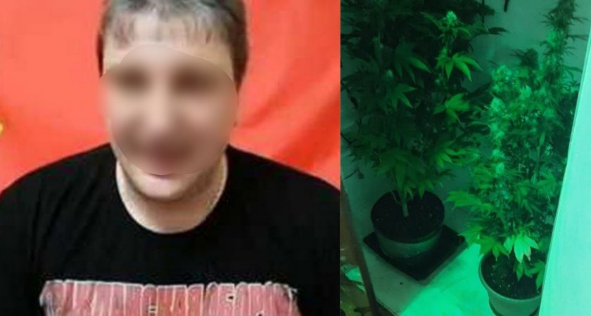 "Советские" марихуану, патроны и секс-игрушки нашли при задержании адепта СССР