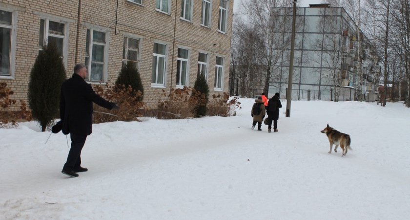 Под Ярославлем бродячая собака напала на школьника во время урока физкультуры 