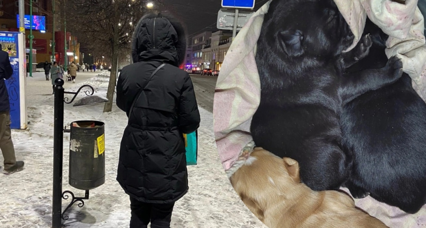 "Каждый год рожает": под Ярославлем пьяная хозяйка собаки выкинула новорожденных щенков