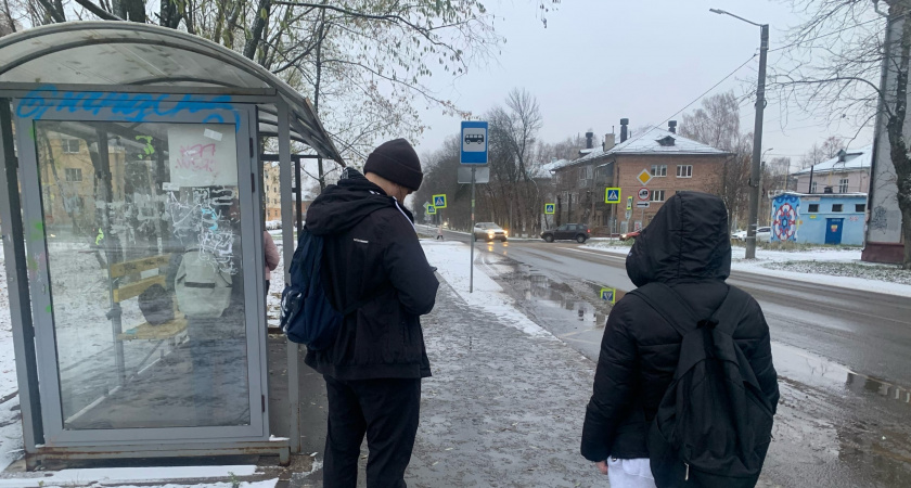 Последний зимний шторм: ненастье в Ярославле сменится приятной оттепелью