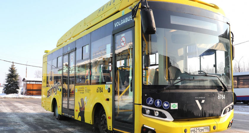 На сайте областного правительства появился раздел о модернизации общественного транспорта
