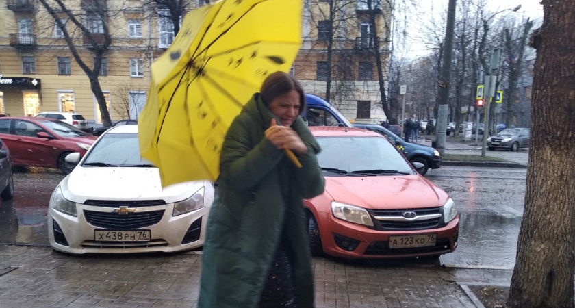 Затяжные дожди в Ярославле коренным образом изменят погоду