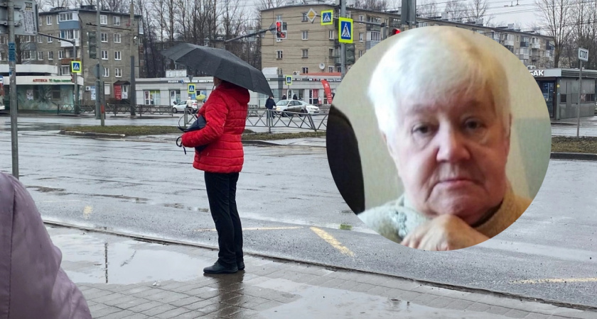 В Ярославле при странных обстоятельствах пропала бабушка с тростью