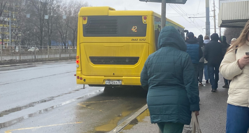 "306 рублей за проезд": ярославна в шоке от цен в новом транспорте 