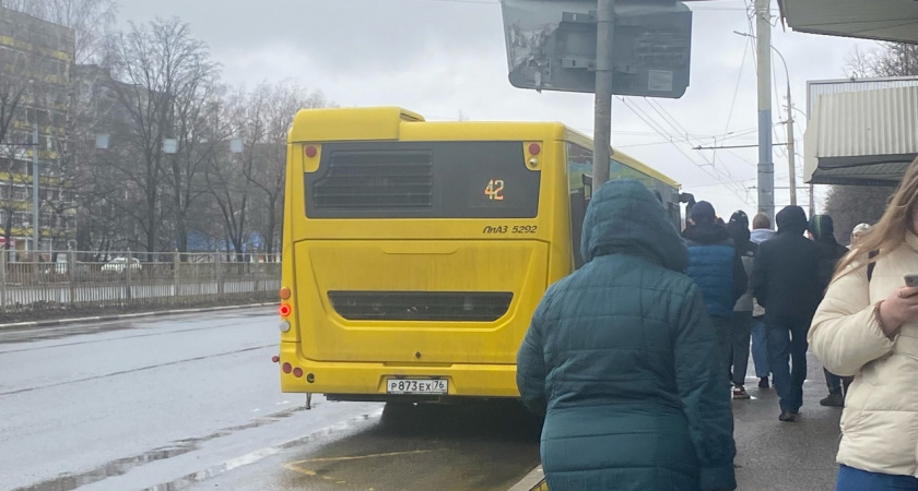 Транспортный ад: что пугает ярославцев в новых автобусах