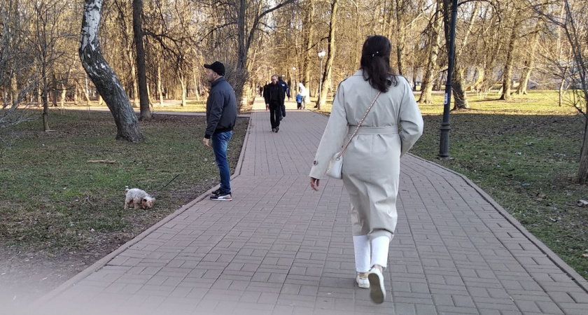 Самыми экономными в Ярославской области оказались женщины среднего возраста